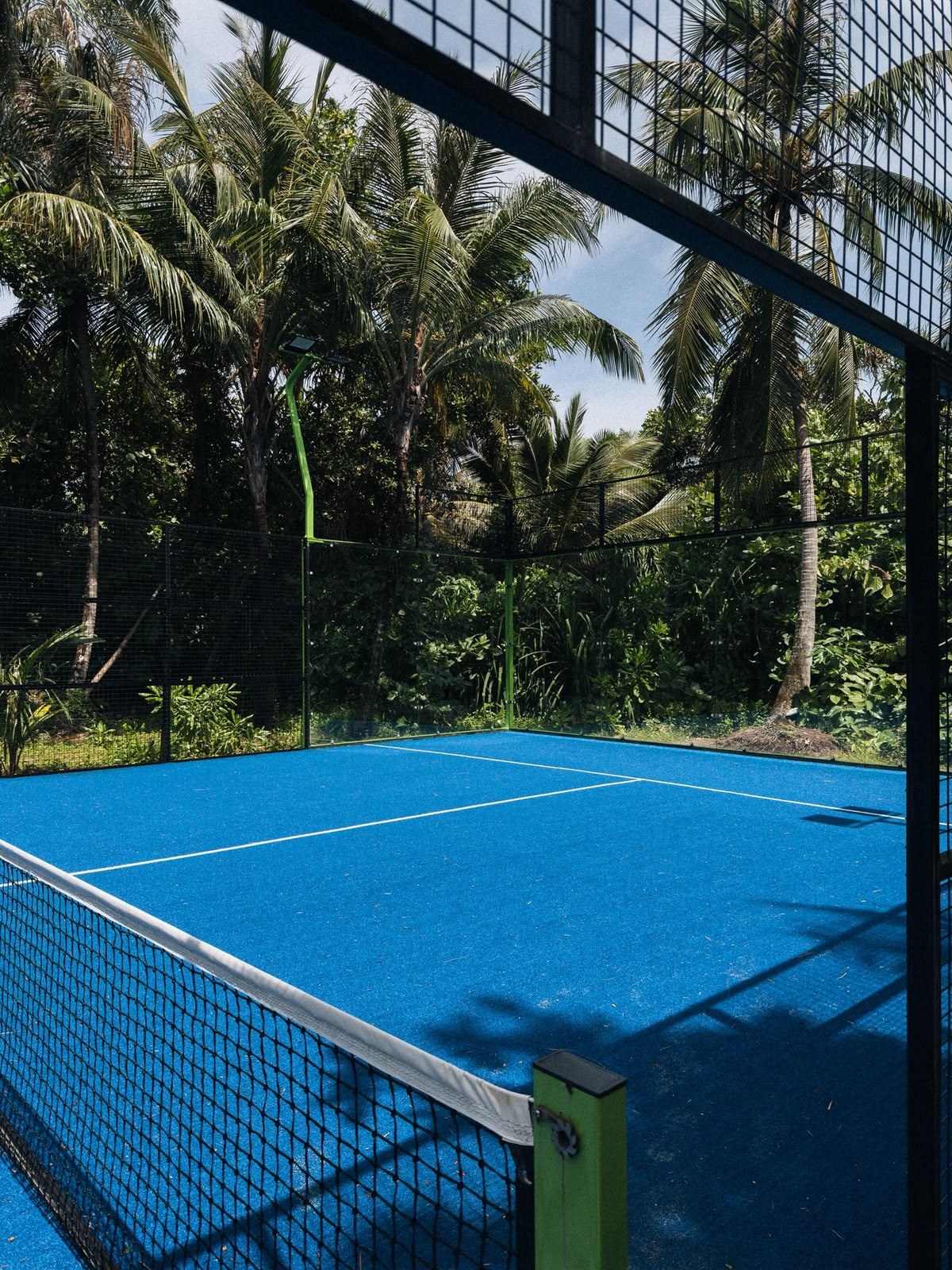 Outdoor padel court surrounded by palm trees