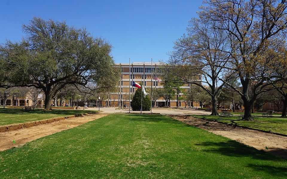 The Library Mall lawn, with the US and Texas flags on flagpoles and live oaks either side, looking towards the Central Library on the University of Texas at Arlington campus in Arlington, Texas, under a clear blue sky